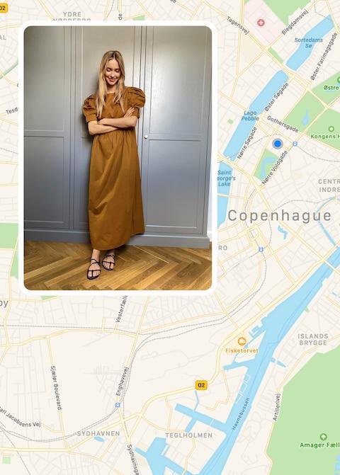 Puffed sleeves cotton dress