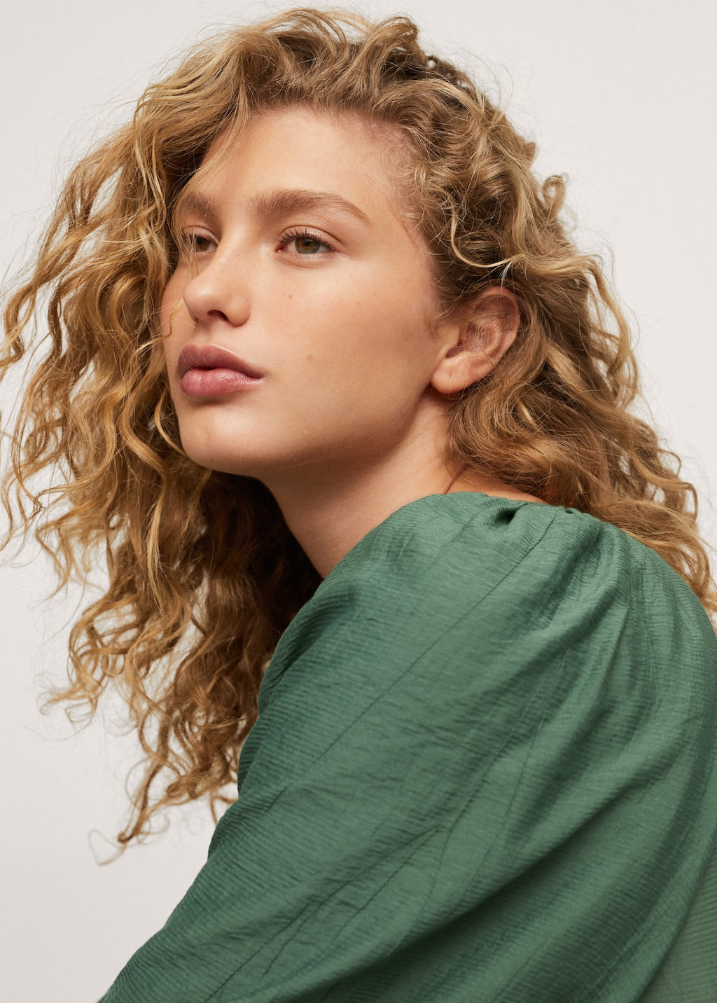 Puffed sleeves dress